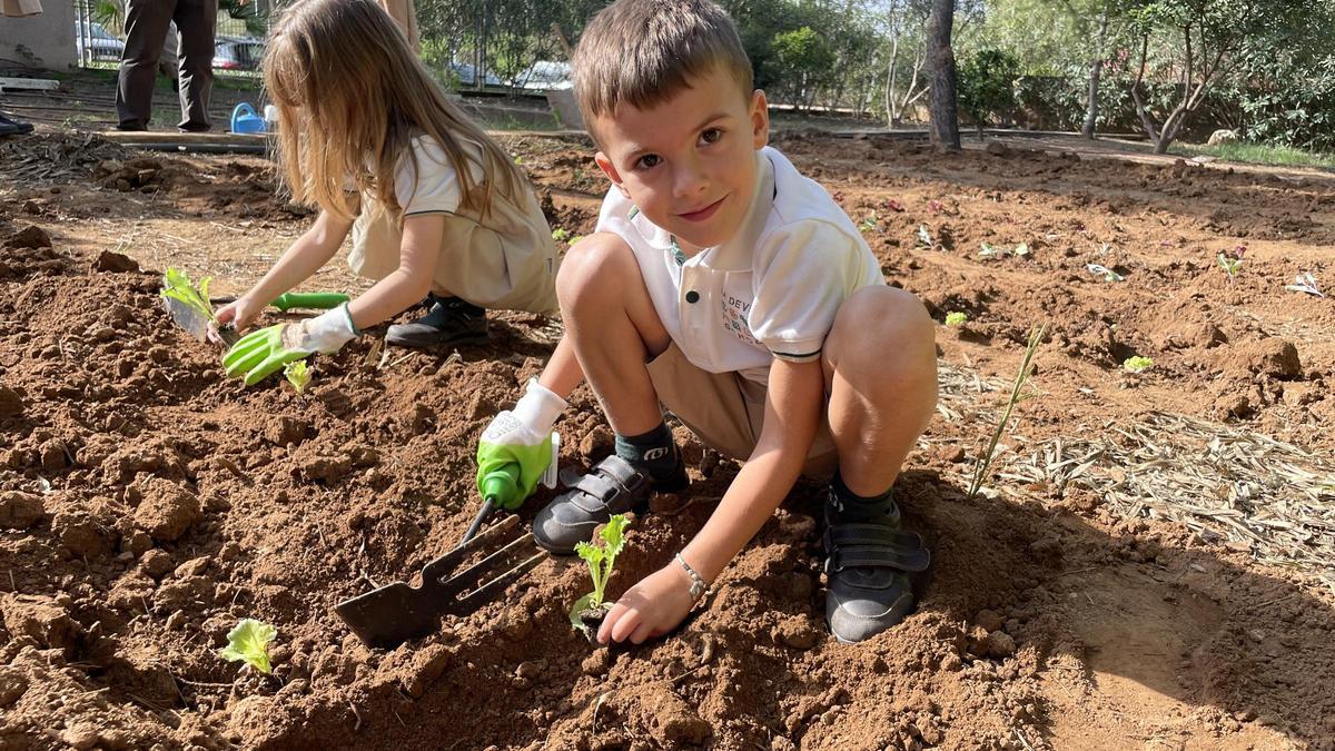 Dos alumnos de La Devesa School en el huerto escolar.