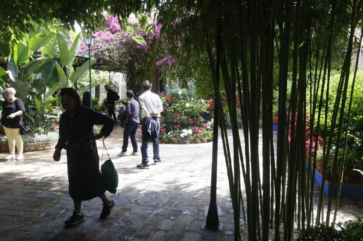 Paseando por los patios de San Andrés y el Realejo