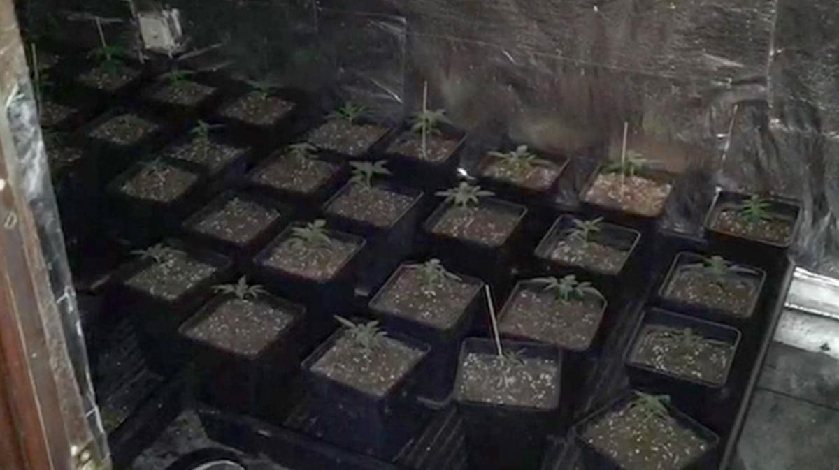 Incendio de un piso en Nou Barris donde se descubrió una plantación de marihuana