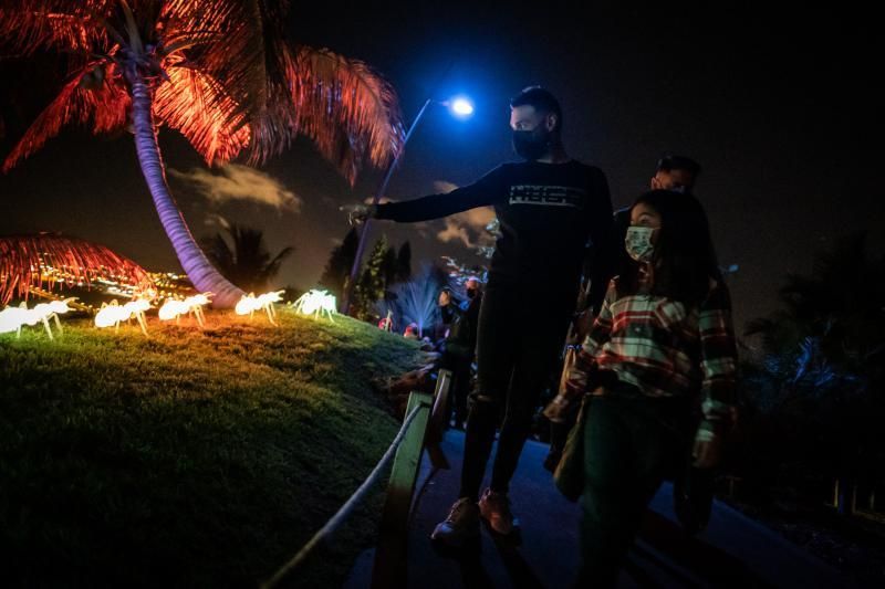 'Naturaleza Encendida'  en el Palmetum (Santa Cruz de Tenerife)