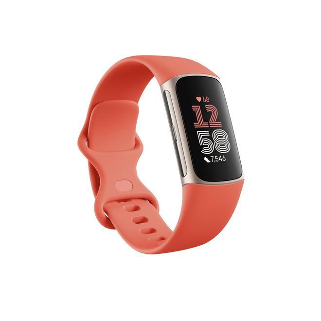 Fitbit Charge 6.