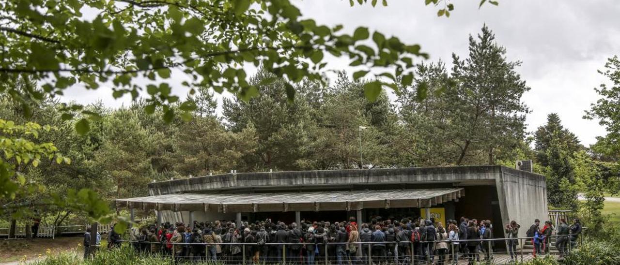 Actuación del LEV en el Botánico, el año pasado.