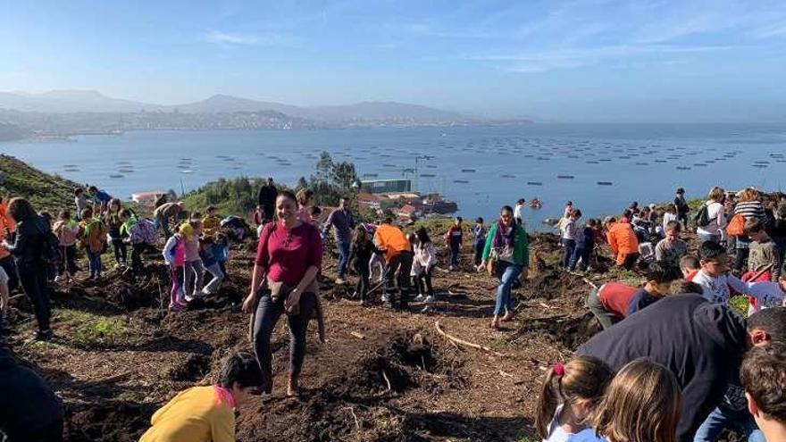 Alumnos, durante la plantación en el monte da Fanequeira. // FDV