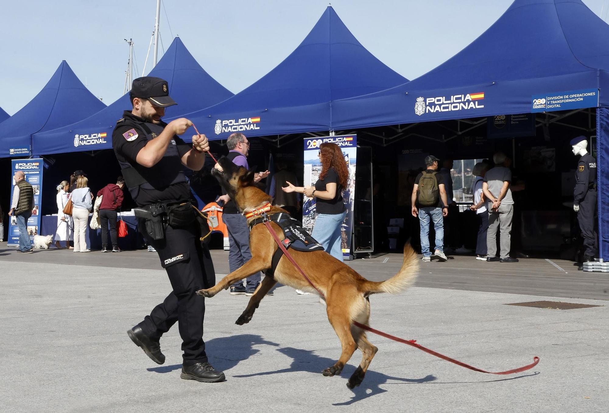 Los perros policía y el robot Sira, protagonistas en la "Exposición de Medios" de la Policía Nacional