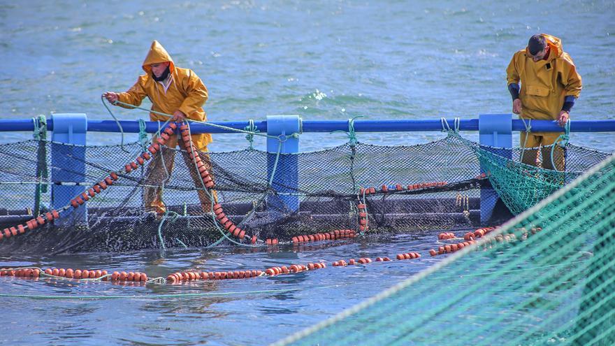 La acuicultura china se multiplica por 65 en medio siglo y es ya el 80% de su producción