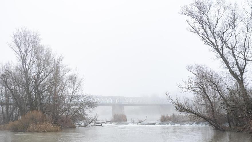 Zamora, el río y la niebla