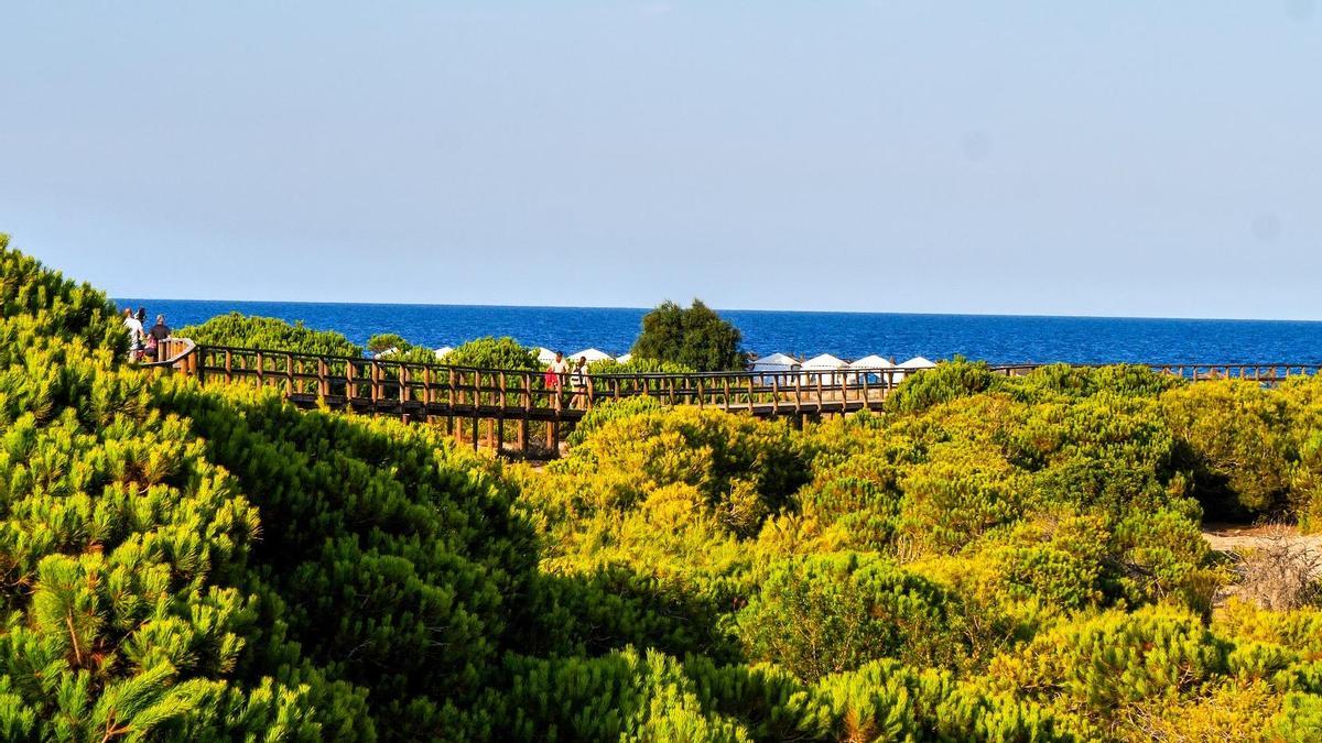 Playas de elche