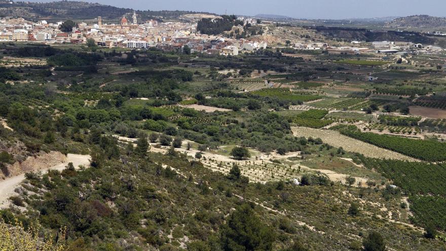 El proyecto de una tercera macroplanta fotovoltaica genera rechazo en Turís