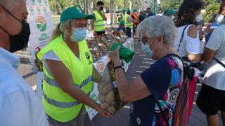 Reparten 3.000 kilos de patatas en Málaga en protesta por precios "de ruina"