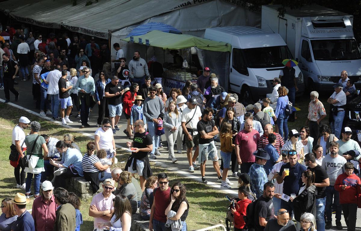 Pistoletazo de salida a la Rapa de Sabucedo 2024