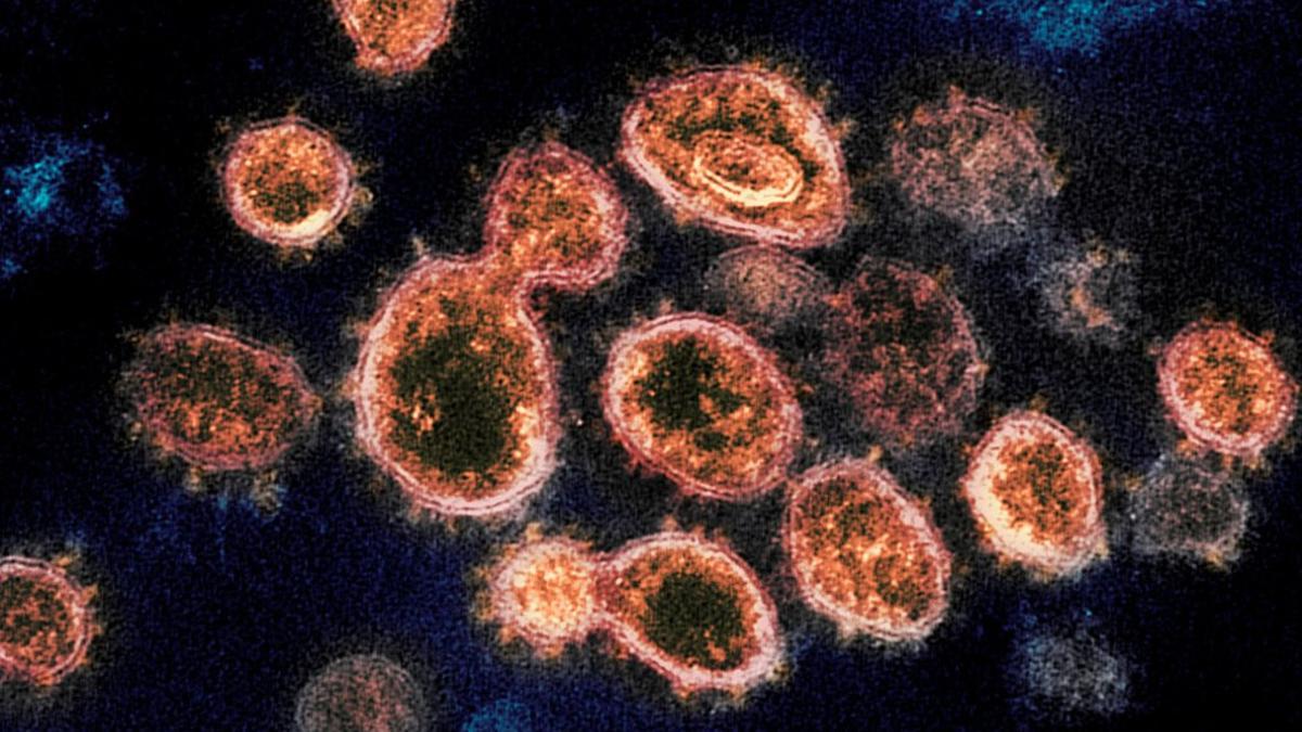 Hallan coronavirus en el aire a cinco metros de un infectado