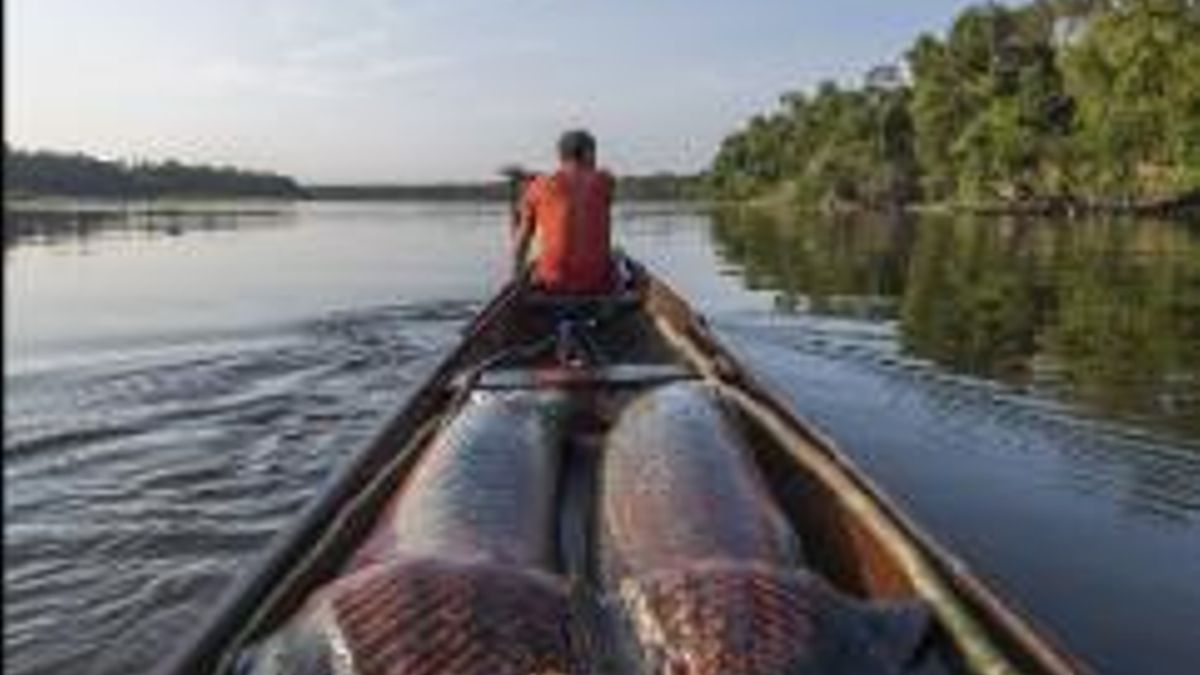 El mundo está en deuda con las comunidades indígenas del Amazonas