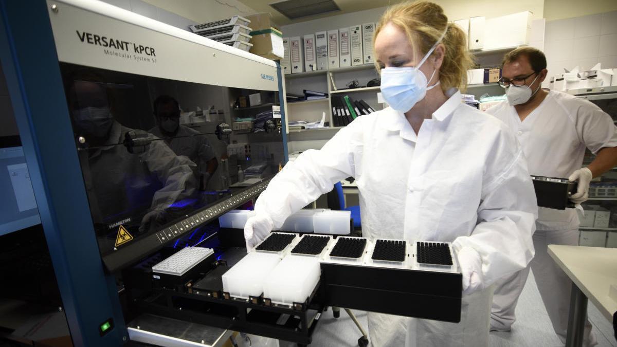 Biólogos manejan muestras en el laboratorio de Microbiología de la Arrixaca.