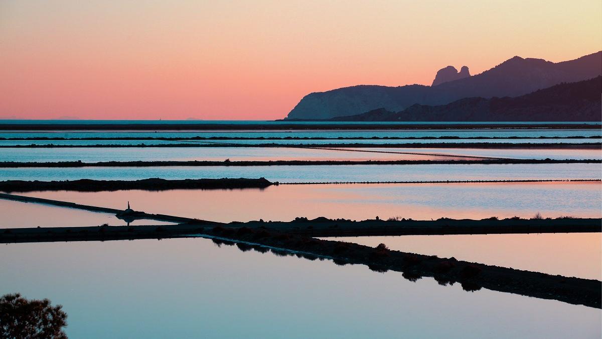 En varias de las excursiones a pie y en bicicleta se recorrerá la zona de ses Salines.