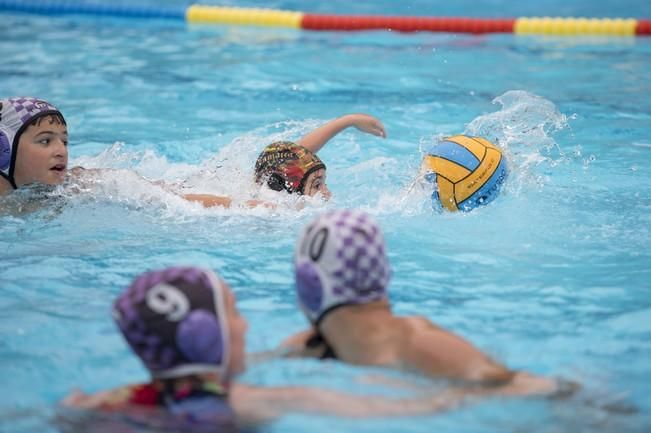 Deporte BASE. Reportaje a la cadena de waterpolo ...