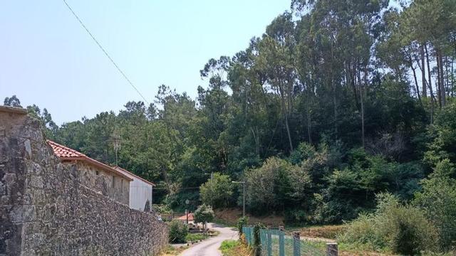 El terreno que inquieta en el lugar de Loimil do Carballo. |