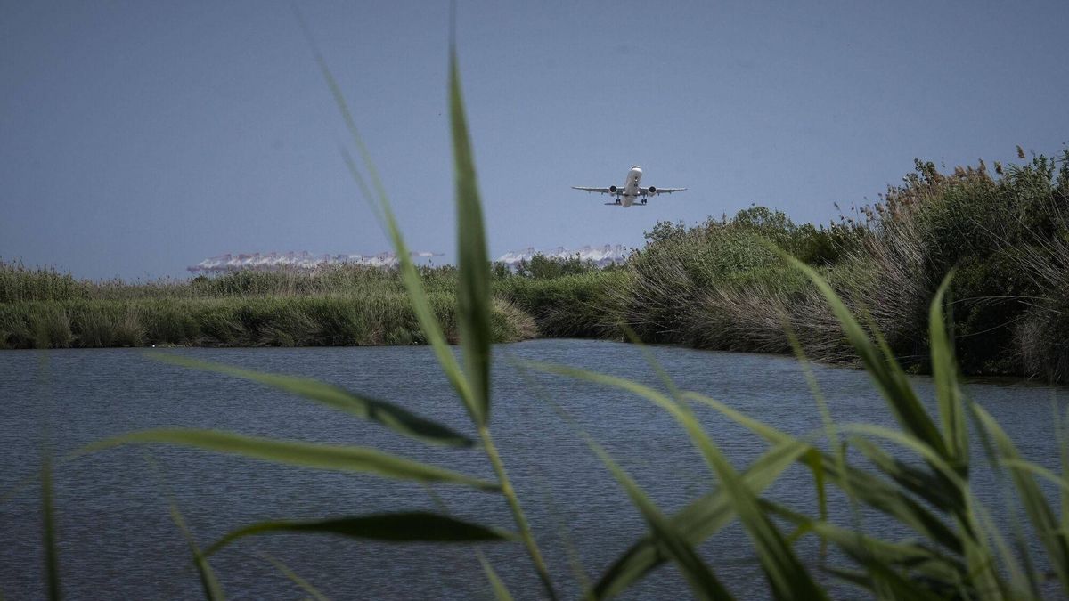 El Prat de Llobregat 10/06/2025 Ampliación del aeropuerto de Barcelona Josep Tarradellas El Prat En la foto, aviones sobrevuelan la zona de el Remolar Filipines después de despegar de la pista 06R/24L , la más cercana al mar, y que se pretende alargar por la Ricarda y por el Remolar afectando a los ecositemas del Parc Natural del Delta del LLobregat Fotografía de Ferran Nadeu