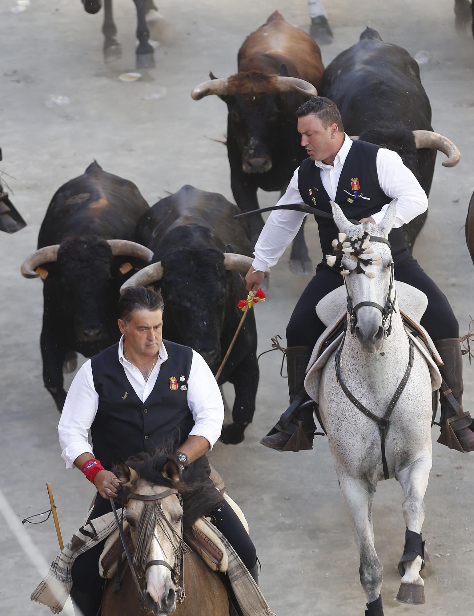 Las fotos de la cuarta Entrada de Toros y Caballos de Segorbe