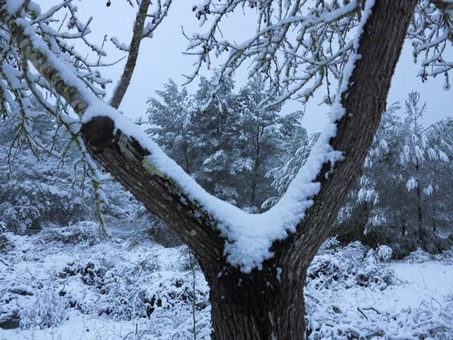 Schnee Mallorca Winter 2017