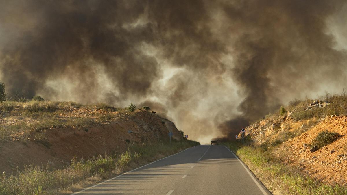 Incendio forestal en Vegalatrave y Muga de Alba en el verano de 2022