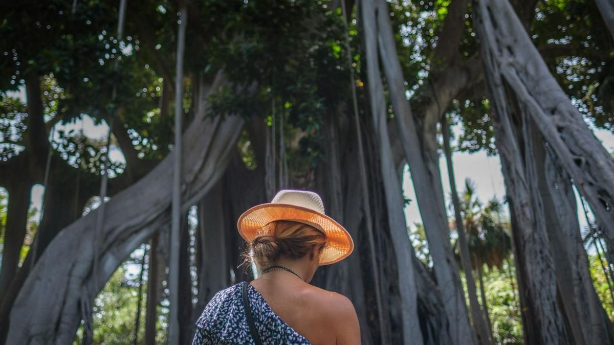 La vida secreta de las plantas