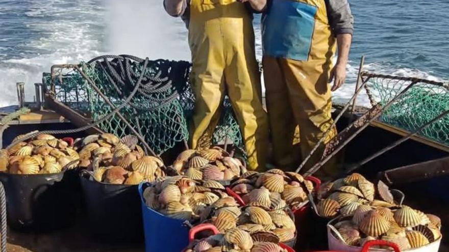 La flota de la vieira supera los 4.500 kilos en la primera semana y espera la apertura de la zona II