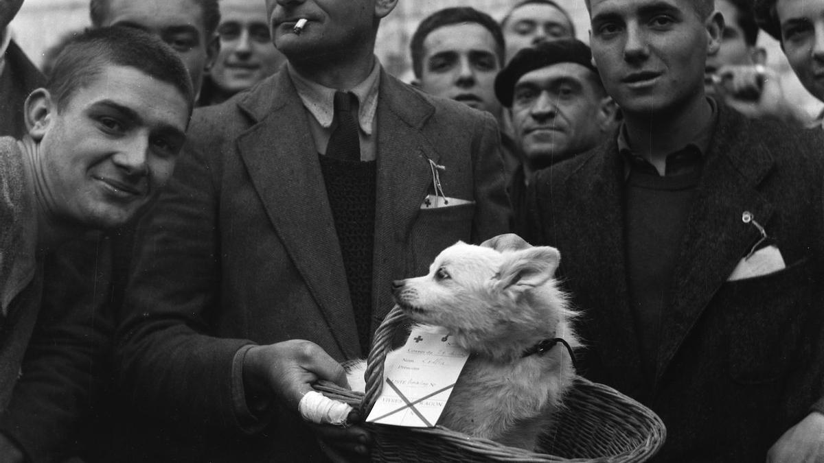 La primera retrospectiva, en Arlés, del 'payo Chac' Léonard