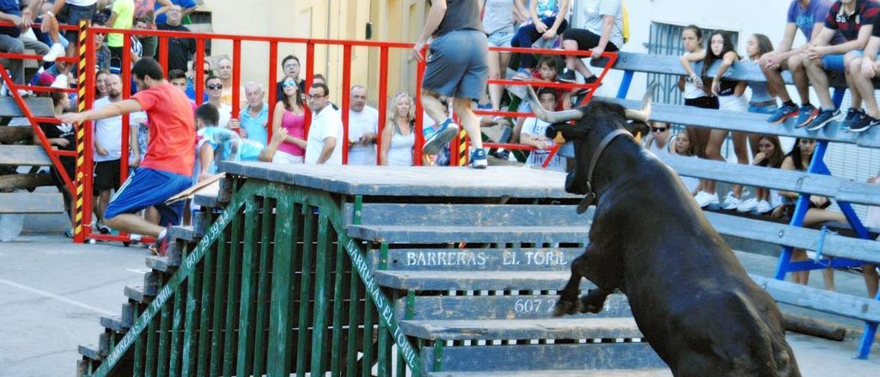 Albalat exhibe uno de los mejores toros