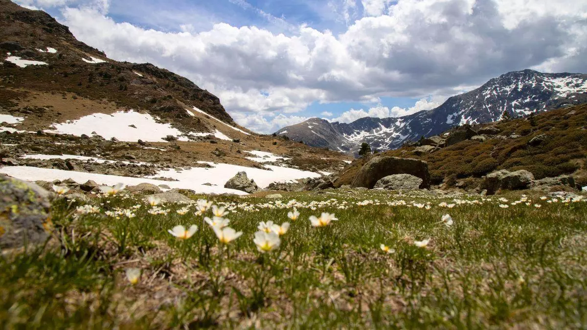 Los Santos de Hielo llegan en mayo: qué son y por qué todavía puede hacer frío casi invernal