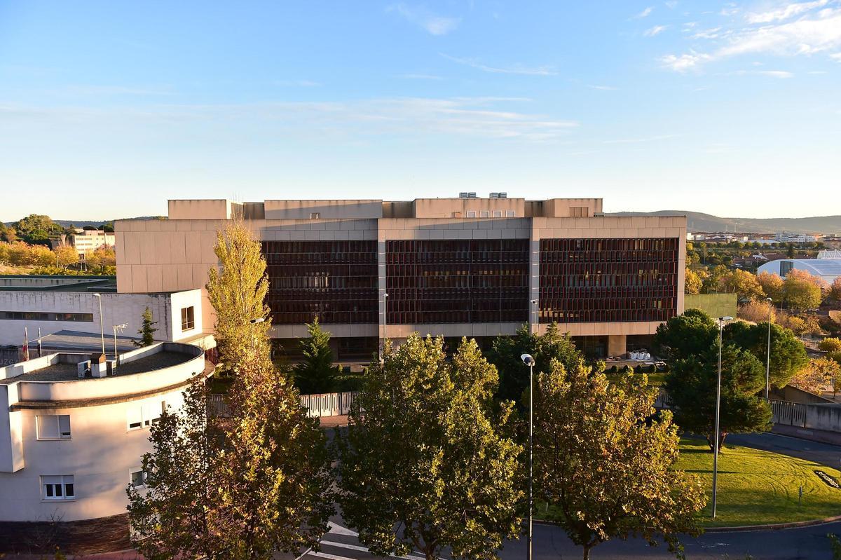 El juzgado de Lo Penal 1 de Plasencia ha dictado la condena a prisión.