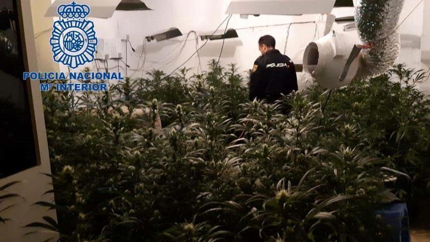 La Policía Nacional desmantela una plantación &quot;indoor&quot; de marihuana en Badajoz