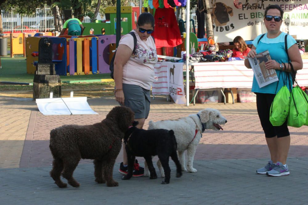 El Parque Huelin ha acogido la primera edición de un evento destinado a las mascotas y a sus dueños, con carreras en diversas categorías, actividades gratuitas y numerosos stands