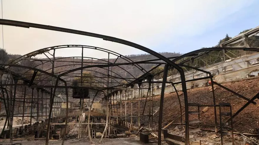 El Consorcio de Bomberos de Castellón trabaja en el incendio de la Vall d'Uixó