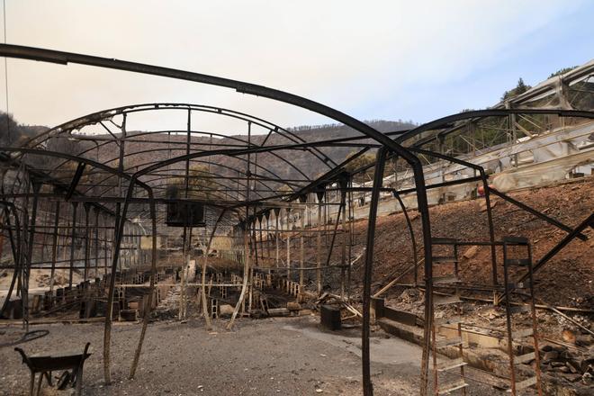 Las cifras del virulento incendio de Castellón: 76.000 vecinos de 21 zonas afectadas y 6.500 hectáreas quemadas