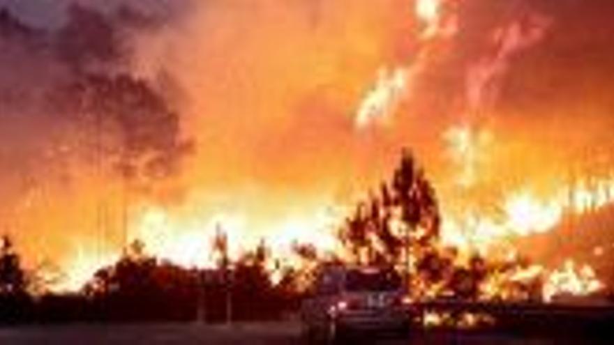 Concurso para un plan preventivo de incendios