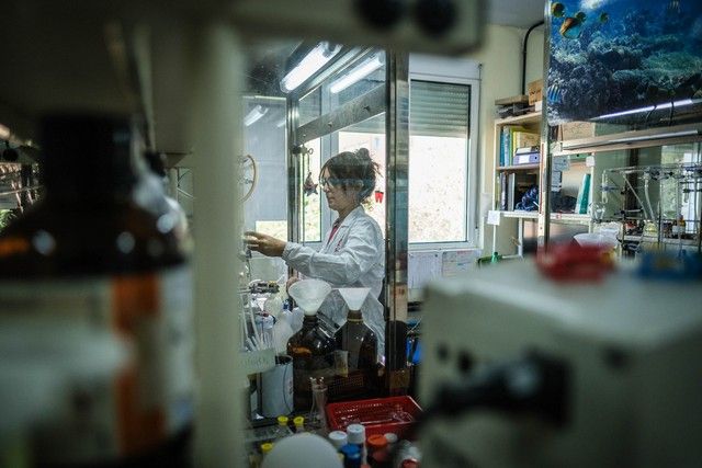 Visita al Instituto de Productos Naturales y Agrobiología (IPNA)-CSIC