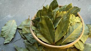 El secreto por el que poner una hoja de laurel en este electrodoméstico te cambiará la vida