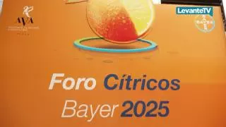 El Foro de Cítricos Bayer reúne a más de 300 profesionales en València para debatir sobre el futuro del sector