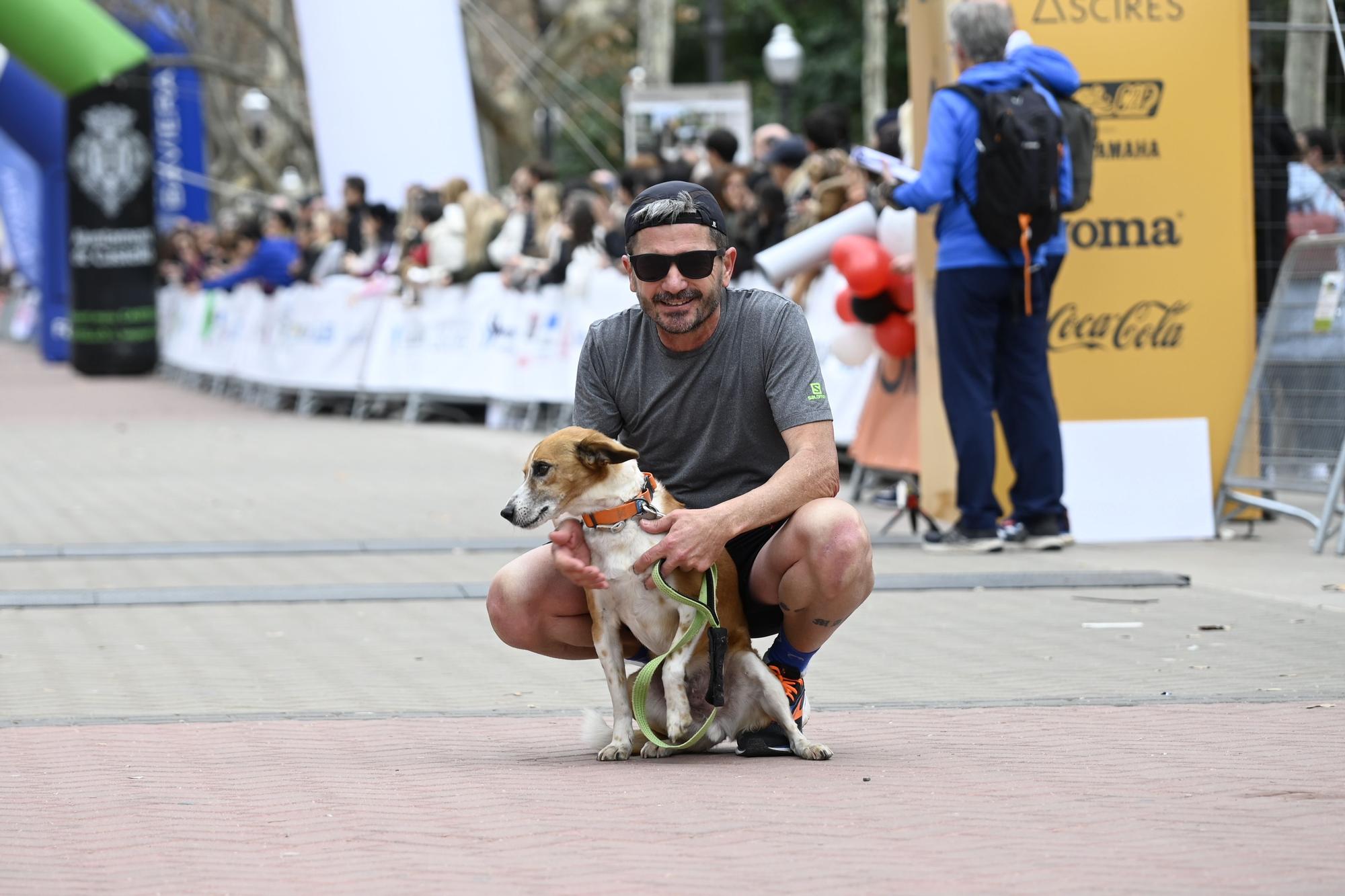 Marató bp y 10K Facsa | Segunda toma de las mejores imágenes de las carreras de Castellón