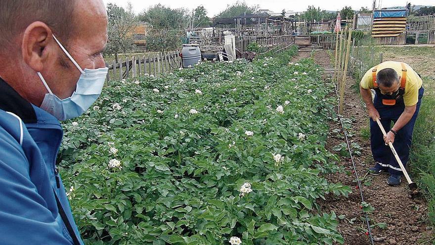 Alimentación de proximidad