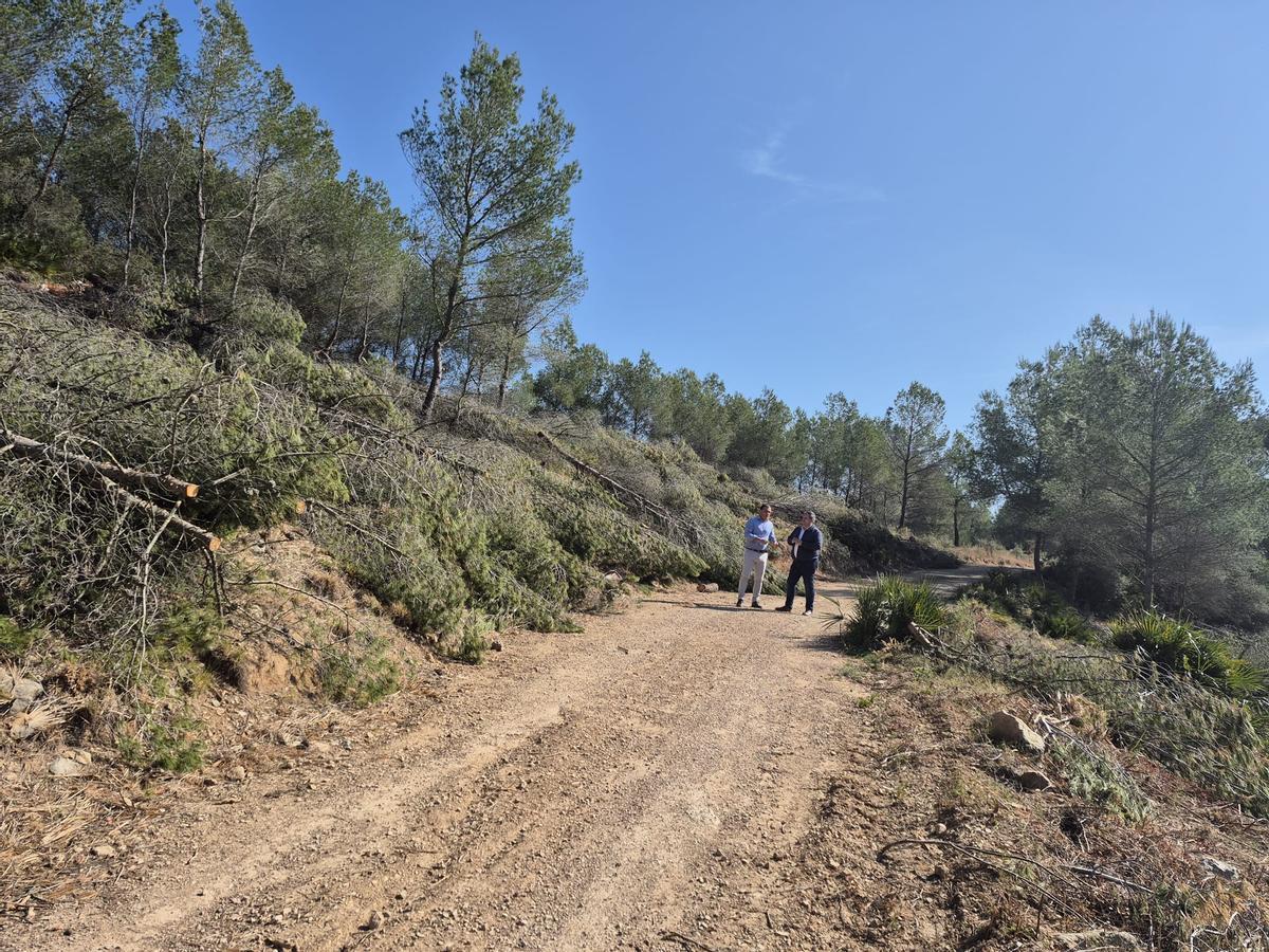 El alcalde, Andrés Martínez; y el concejal Miguel Castell, en una visita a la zona.