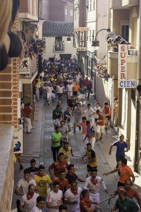 La carrera del Toro Enmaromado 2017 Razonador