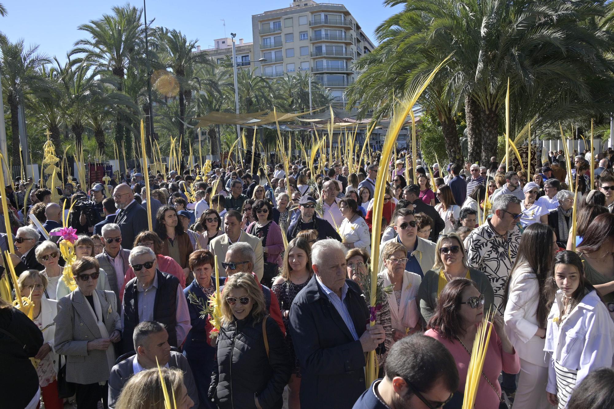 Domingo de Ramos en Elche