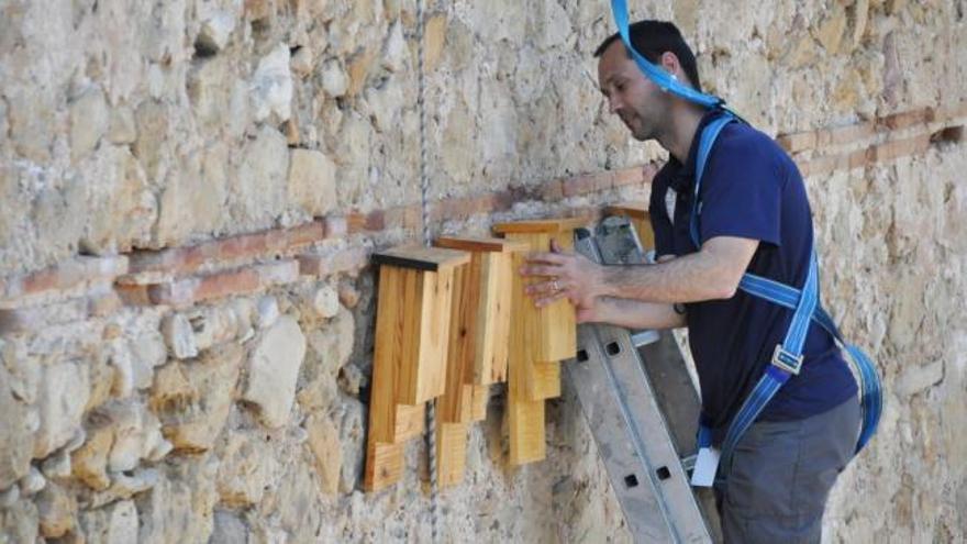 Aguas de Valencia instala refugios para proteger la población de murciélagos del río Turia