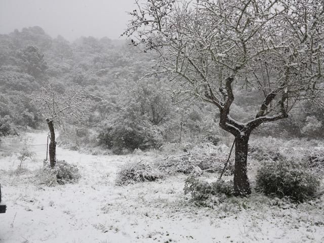 Schnee Mallorca Winter 2017