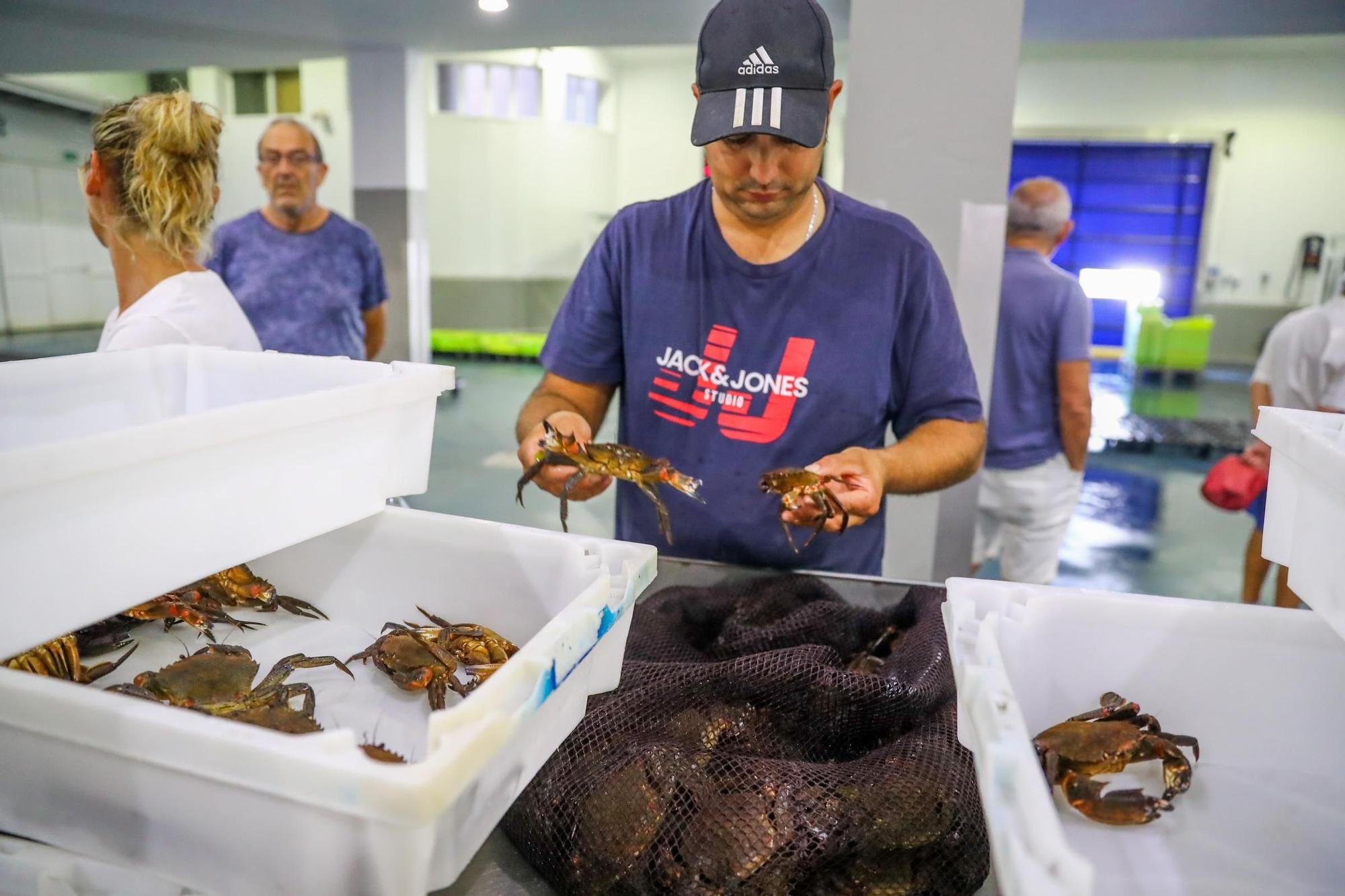 Los últimos retoques de la Festa do Marisco de O Grove.