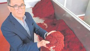 «No crec que tornem a tenir els preus que teníem el 2019»