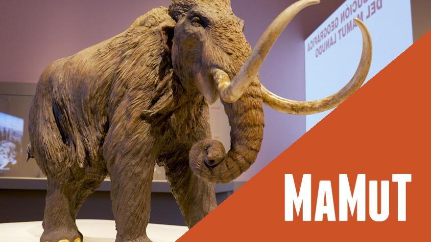 Visita comentada - Mamut el gigante de la edad de hielo