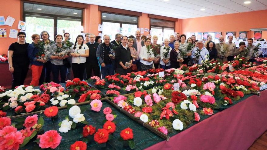 La Mostra da Camelia de Torneiros se inauguró ayer por la tarde.