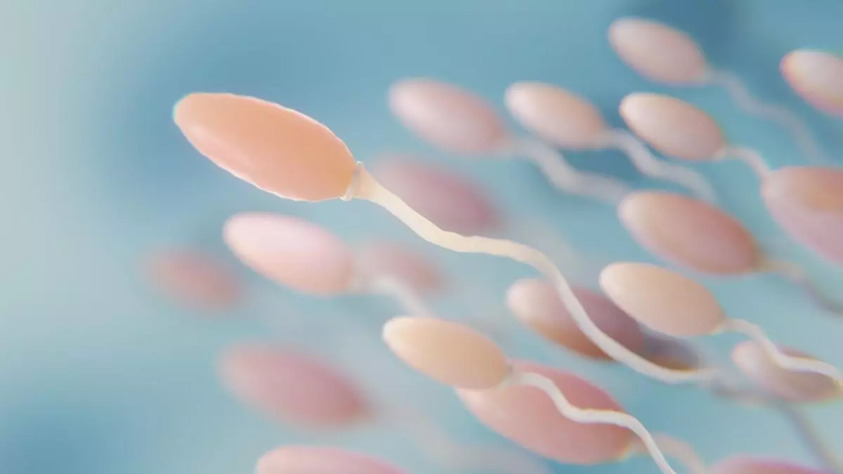 ?Puedes tener alergia al semen? Descubre los s赤ntomas, riesgos y c車mo tratar esta desconocida enfermedad
